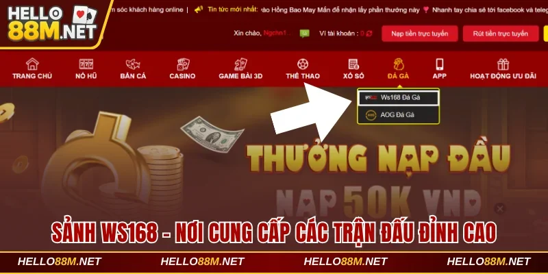 Sảnh WS168 Tại Hello88 Đem Đến Thế Giới Chọi Gà Đỉnh Cao